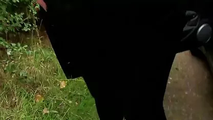 Sluts gặp trên một trang web hẹn hò với một anh chàng, mời anh ta đến thăm phim sec nguoi dit thu và đụ anh chàng tội nghiệp cứng